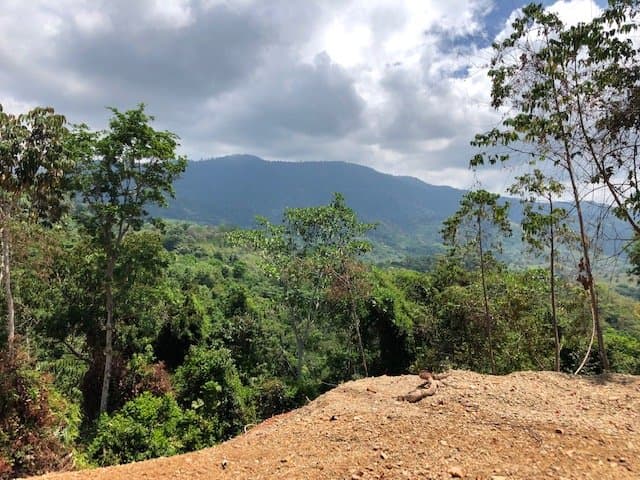 4.21 ACRES Large Piece Of Land With Panoramic Ocean View, Ready To Build Sites, Water Electricity, Financing Option! photo 4