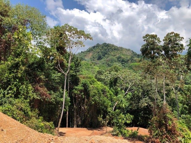 4.21 ACRES Large Piece Of Land With Panoramic Ocean View, Ready To Build Sites, Water Electricity, Financing Option! photo 5