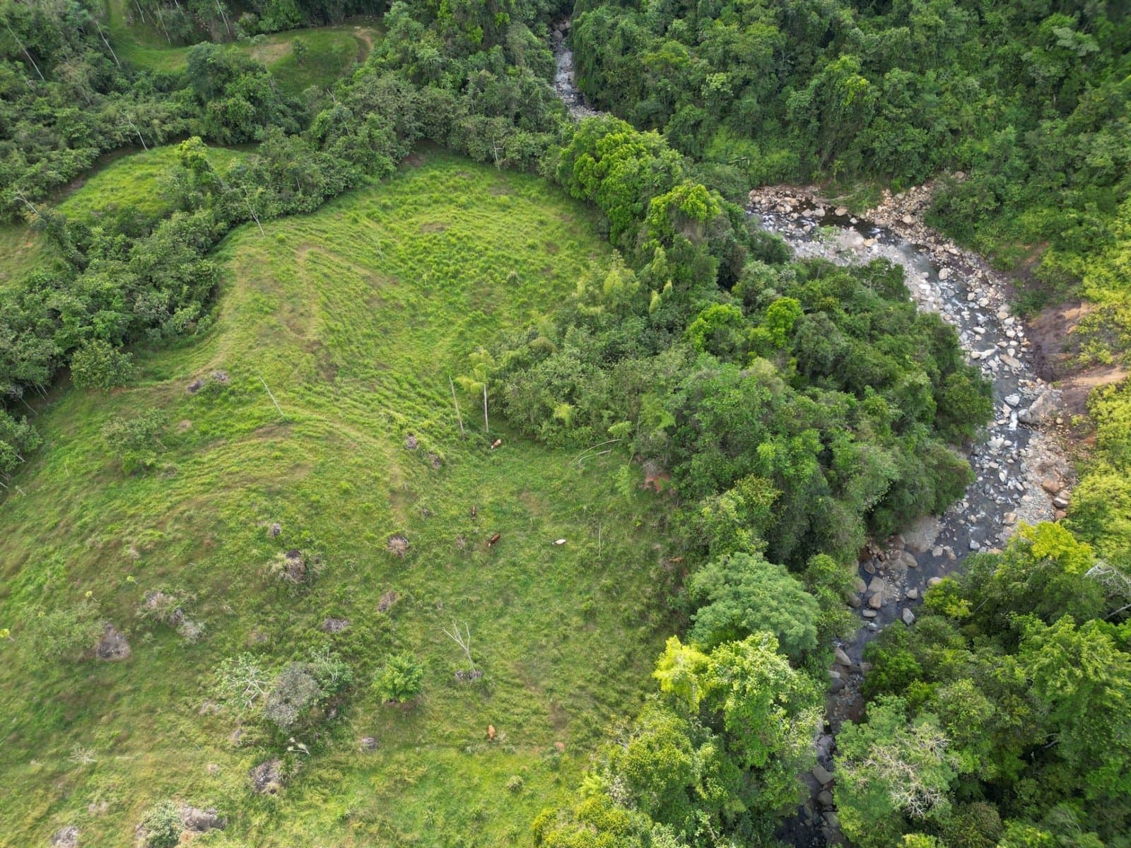 38.9 ACRES Beautiful Farm W Tons Of Usable Land, Great For Retreats Or Yoga W River Bordering, 6 Springs 2 Caretaker Cabins! property photo 4 in Costa Rica