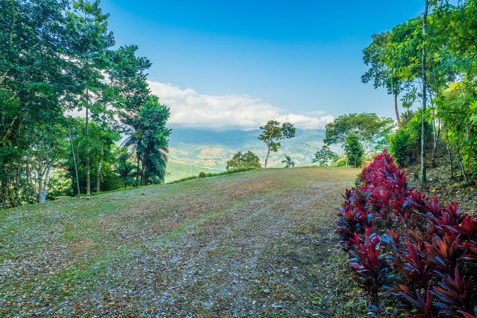 5.3 ACRES Mountain And River View Land 20min To Dominical, Ready To Build, Legal Water, Electricity Fiber Optics, Streams And Community Trails! photo 1