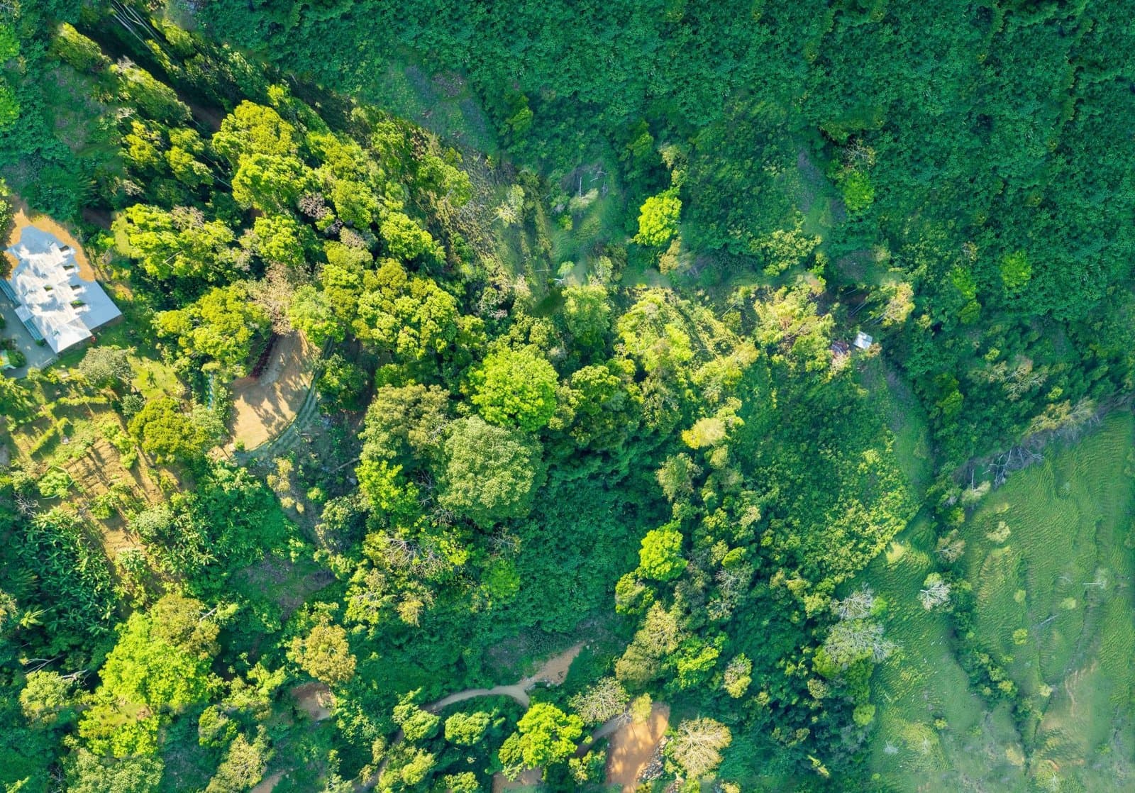 5.3 ACRES Mountain And River View Land 20min To Dominical, Ready To Build, Legal Water, Electricity Fiber Optics, Streams And Community Trails! photo 4