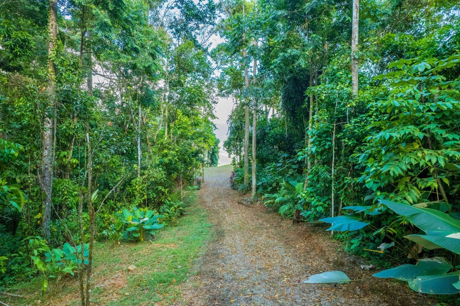 5.3 ACRES Mountain And River View Land 20min To Dominical, Ready To Build, Legal Water, Electricity Fiber Optics, Streams And Community Trails! photo 2