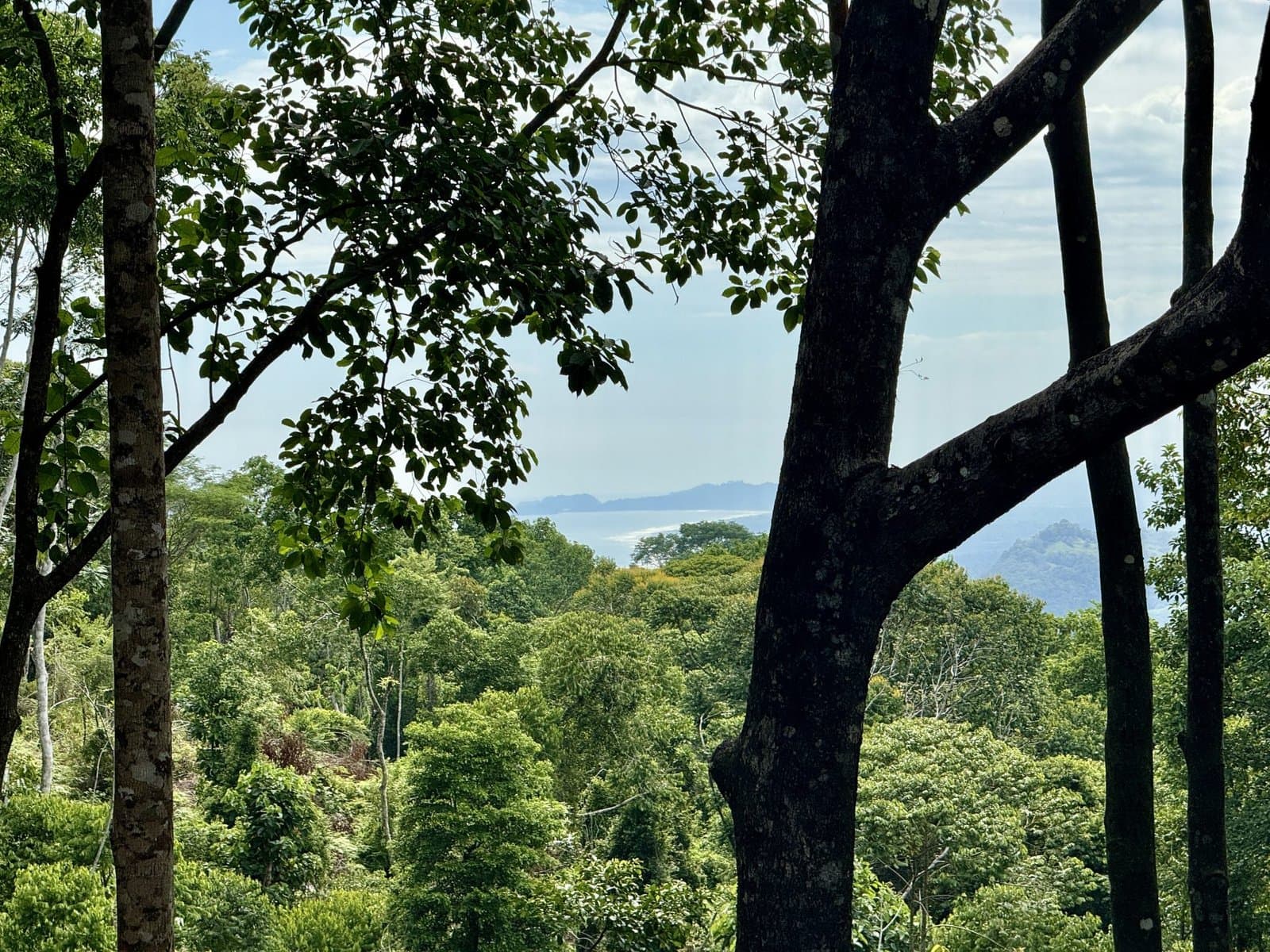 5.11 ACRES Ocean And Mountain View Estate Property, Several Flat Buildable Areas, Legal ASADA Water!