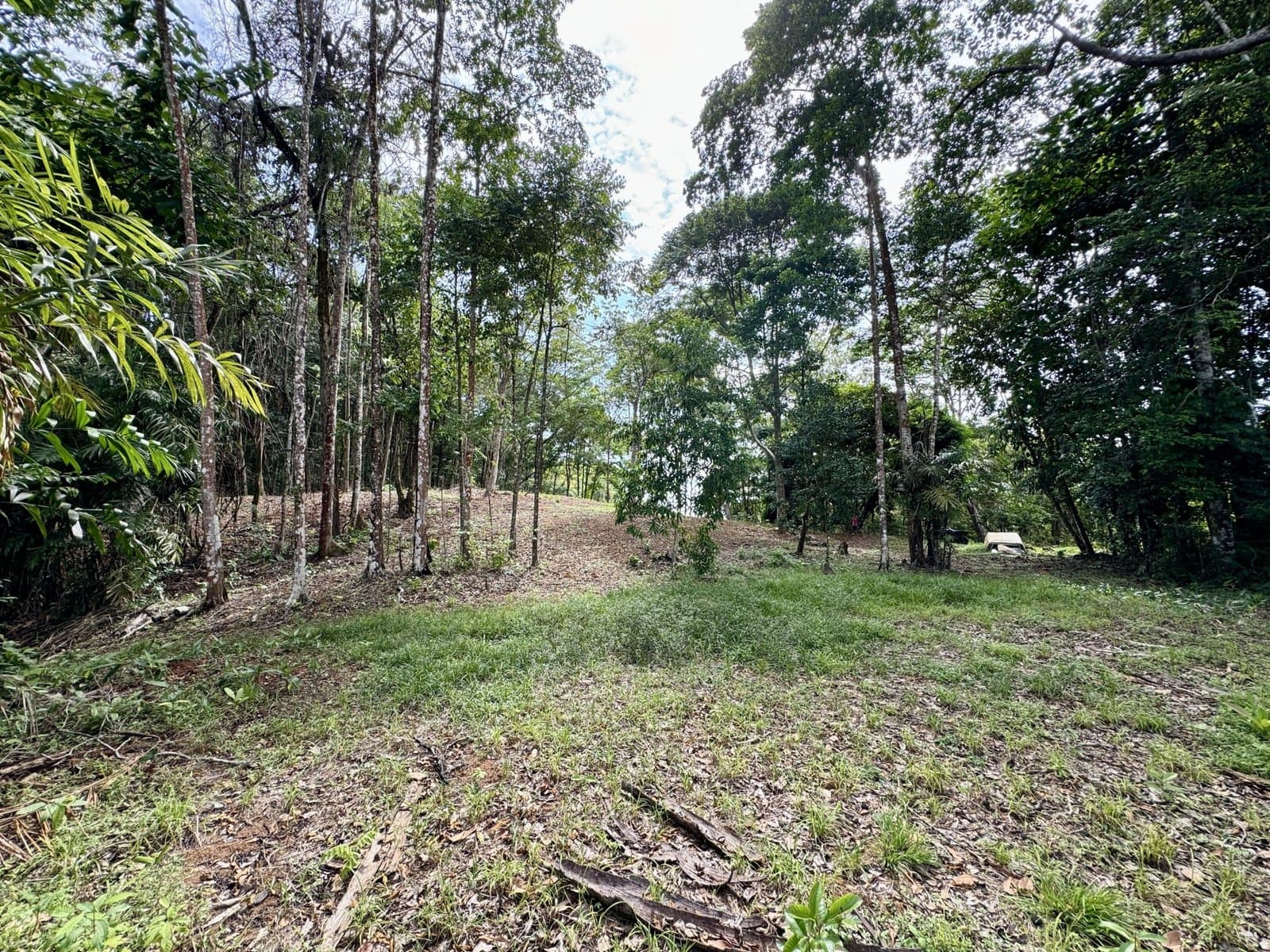 5.11 ACRES Ocean And Mountain View Estate Property, Several Flat Buildable Areas, Legal ASADA Water! photo 5