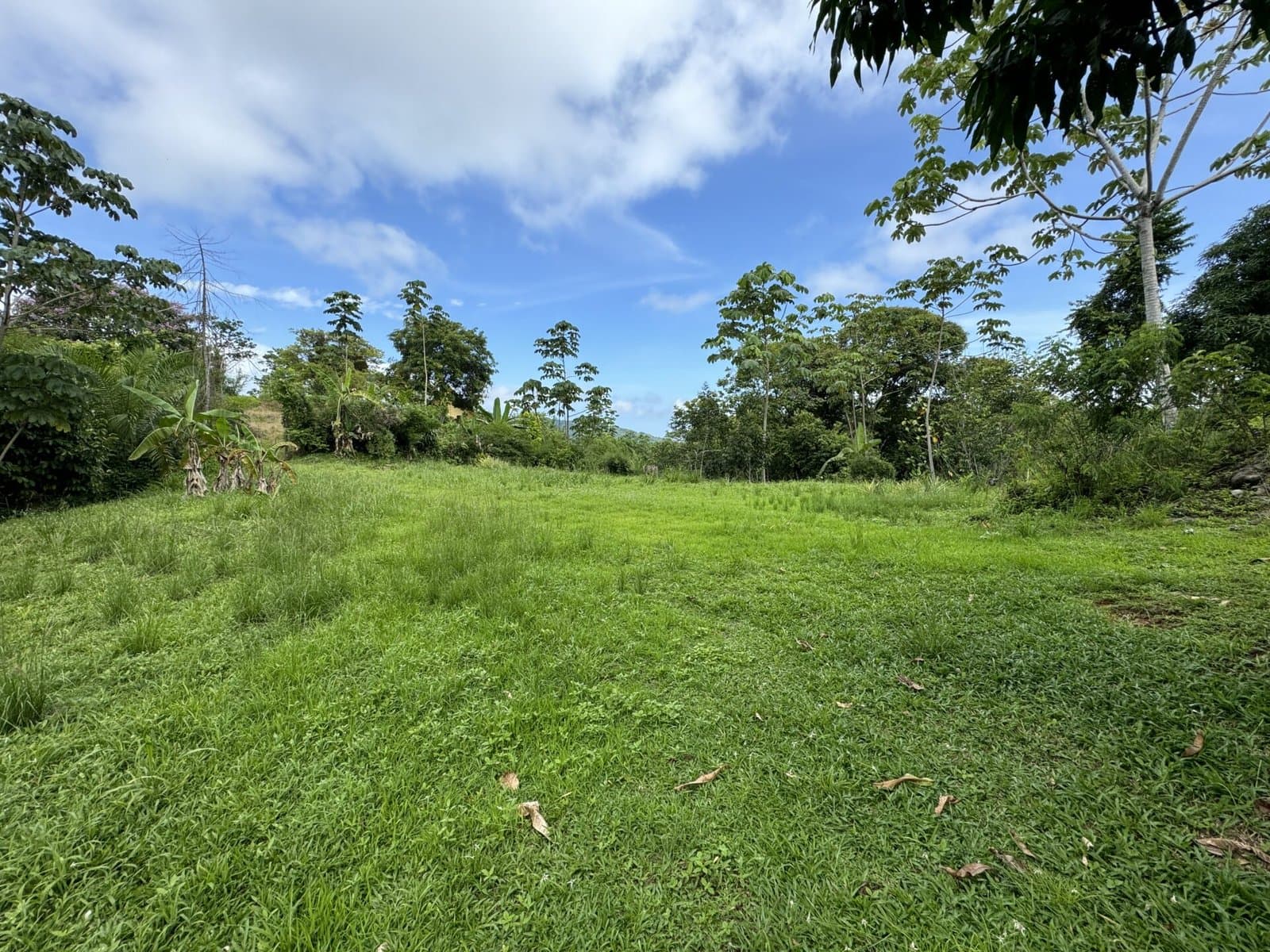 1.11 ACRES Sunrise And Sunset Views, Highway Frontage, Legal AYA Water, Many Mature Fruit Trees! photo 2