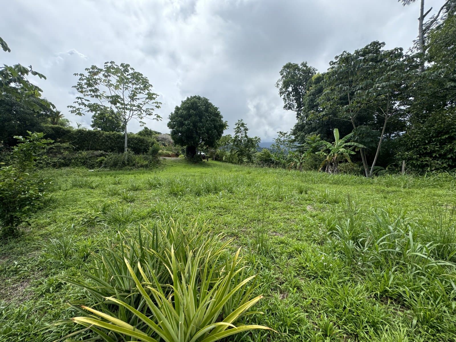 1.11 ACRES Sunrise And Sunset Views, Highway Frontage, Legal AYA Water, Many Mature Fruit Trees! photo 3