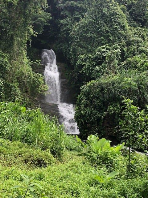 126.04 ACRES Beautiful Extensive Secluded Land With Waterfalls Ocean view, On Agricultural Safe Haven! photo 4