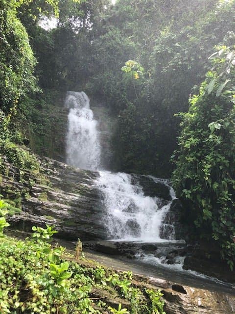 126.04 ACRES Beautiful Extensive Secluded Land With Waterfalls Ocean view, On Agricultural Safe Haven! photo 2