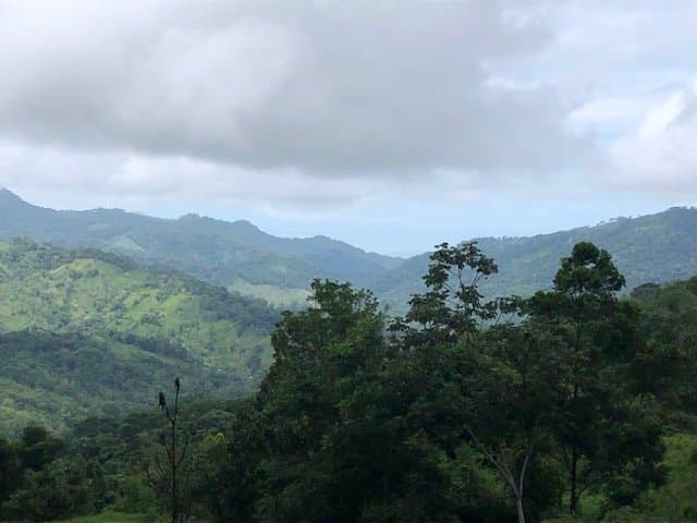 126.04 ACRES Beautiful Extensive Secluded Land With Waterfalls Ocean view, On Agricultural Safe Haven! photo 3