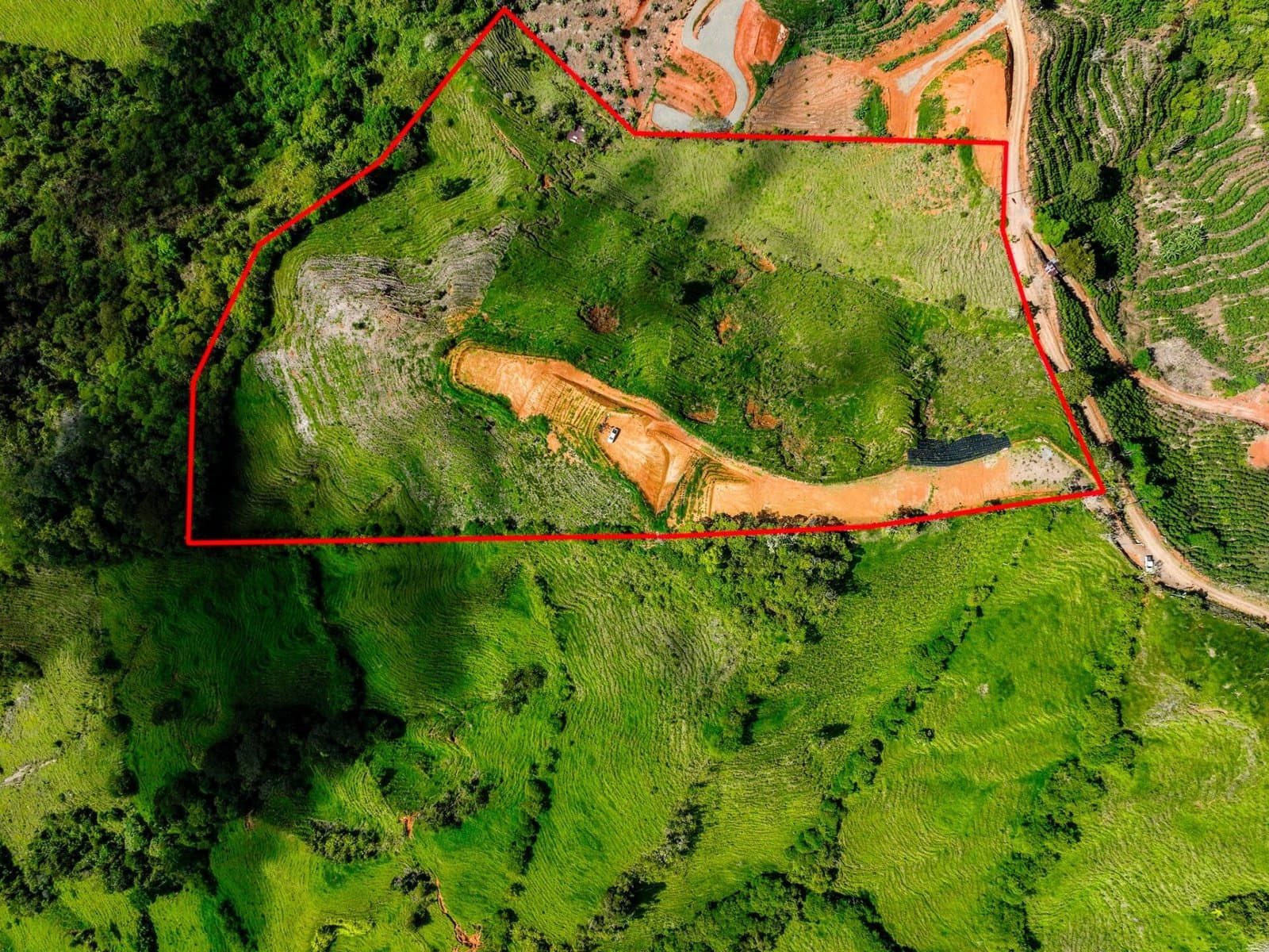 12 ACRES Lavish Fruit Farm With Amazing City Views! property photo 3 in Costa Rica