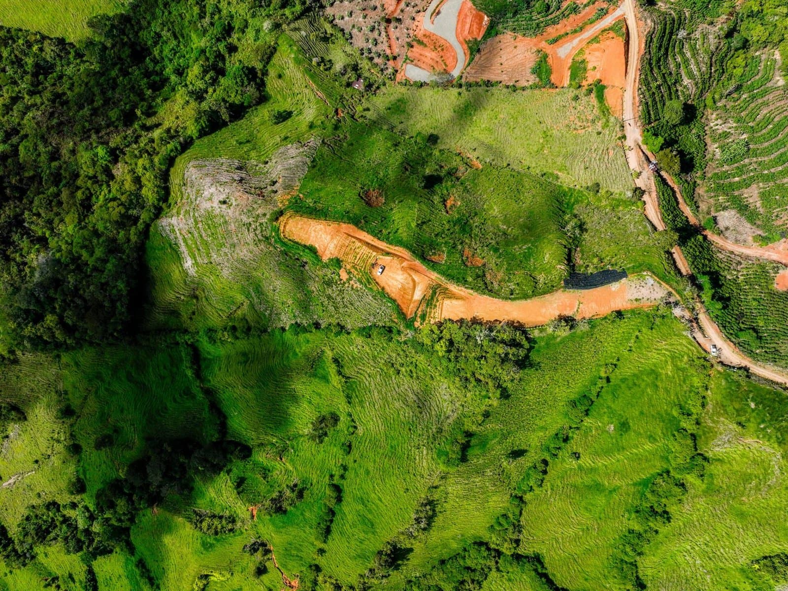 12 ACRES Lavish Fruit Farm With Amazing City Views! property photo 4 in Costa Rica