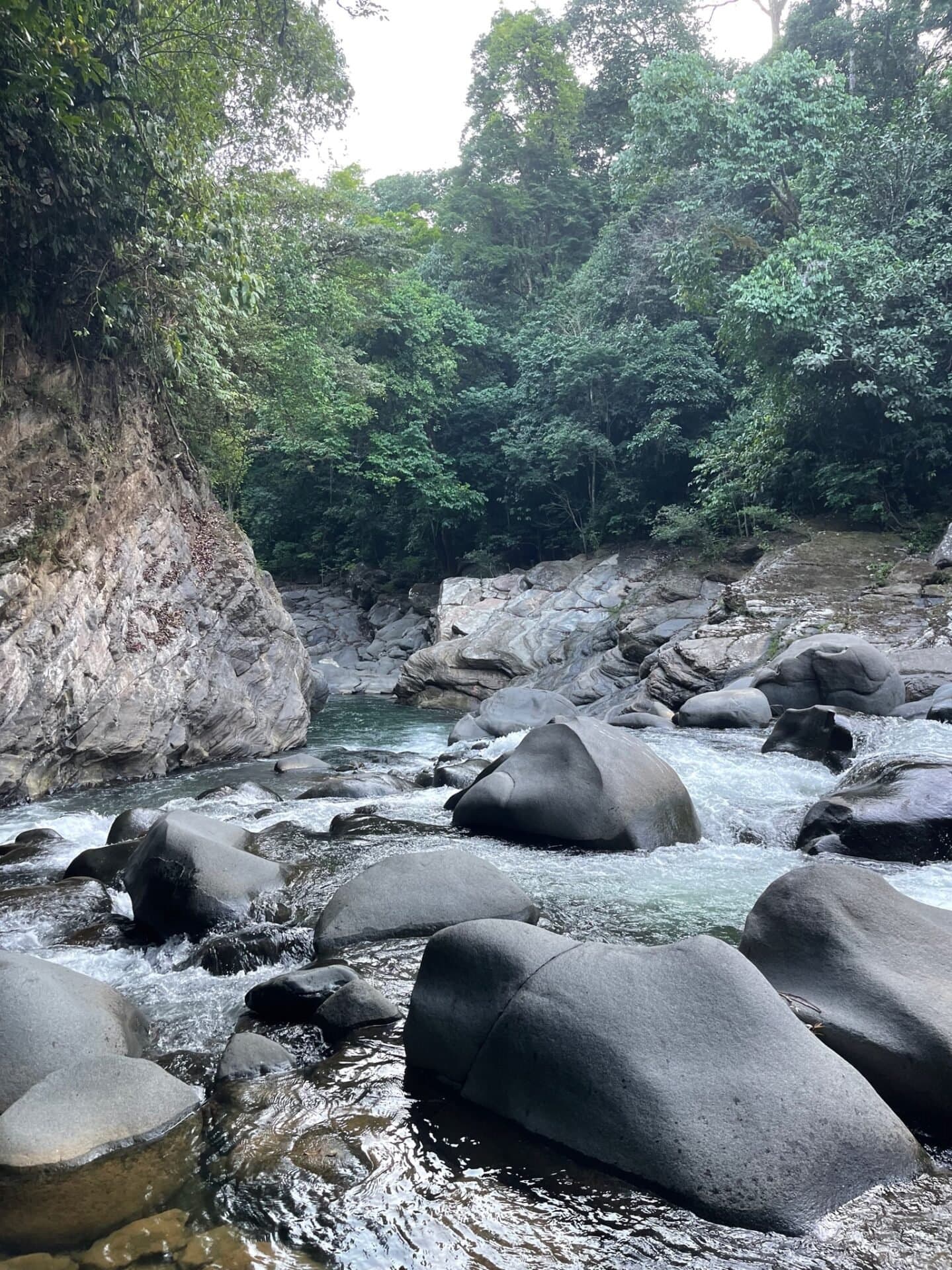 164.8 ACRES Stunning Farm With, Springs, River, Ocean Mountain Views, Ideal For Your Dream Retreat Center! photo 3