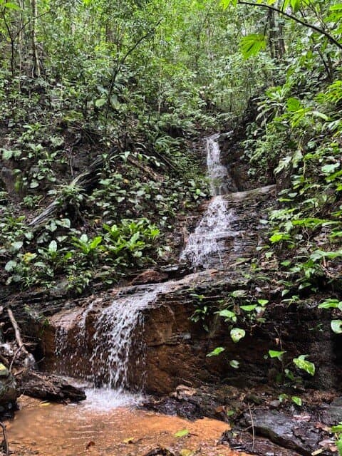 17.85 ACRES Stunning Large Land With 2 Waterfalls Near Dominical Beach! property photo 2 in Costa Rica