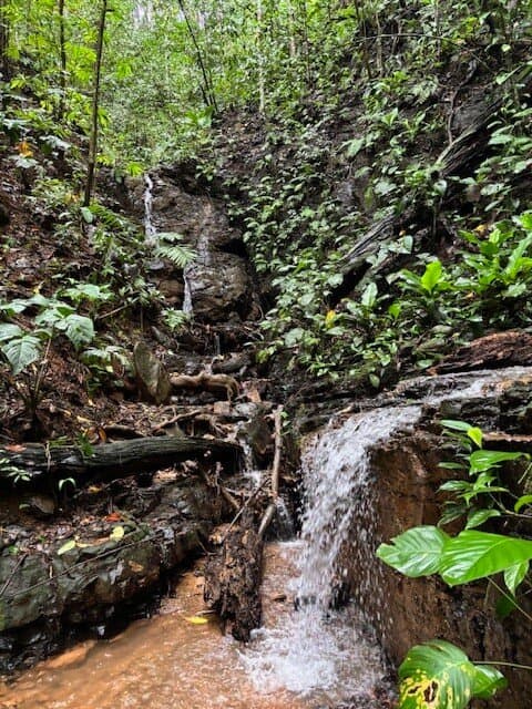 17.85 ACRES Stunning Large Land With 2 Waterfalls Near Dominical Beach! property photo 4 in Costa Rica