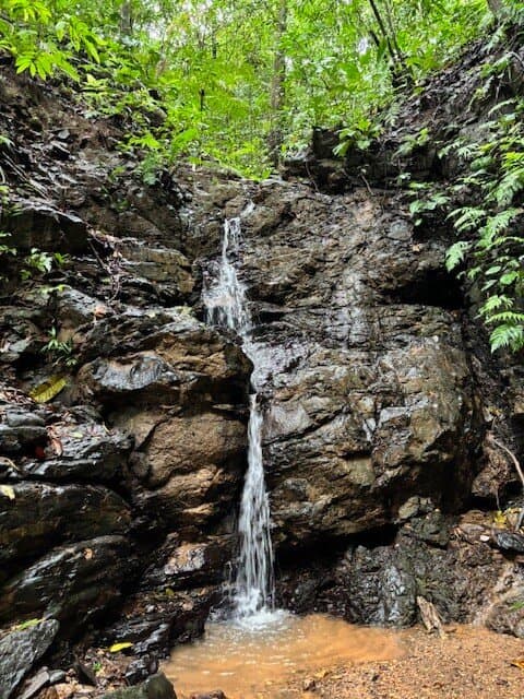 17.85 ACRES Stunning Large Land With 2 Waterfalls Near Dominical Beach! photo 5