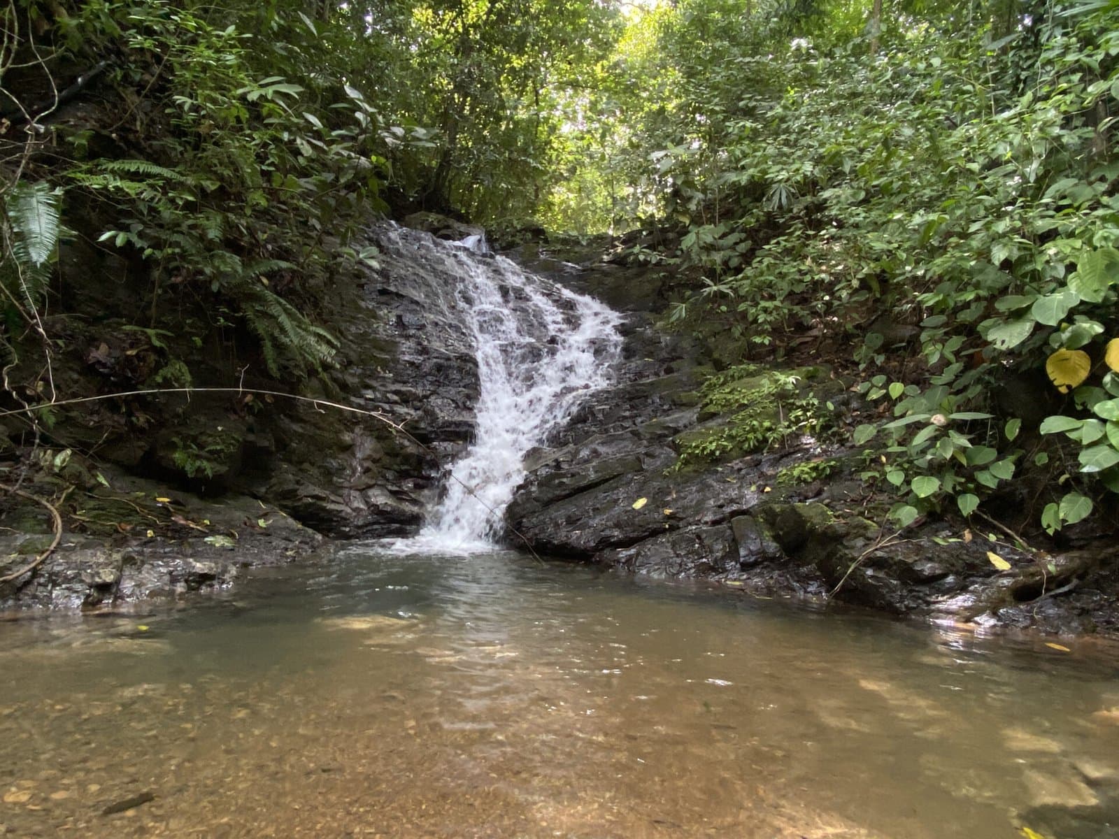 164.8 ACRES Stunning Farm With, Springs, River, Ocean Mountain Views, Ideal For Your Dream Retreat Center! photo 4