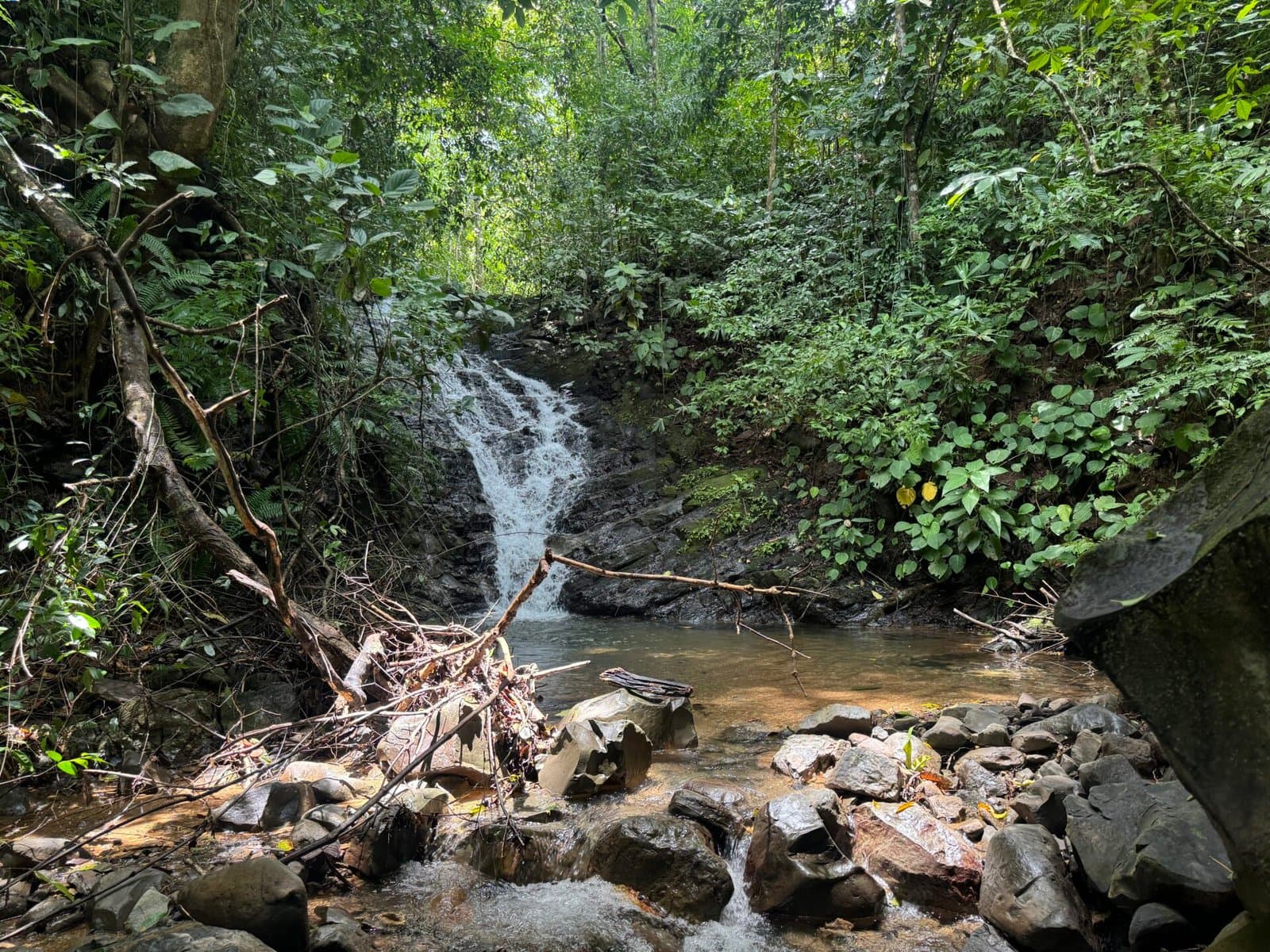 164.8 ACRES Stunning Farm With, Springs, River, Ocean Mountain Views, Ideal For Your Dream Retreat Center! photo 5