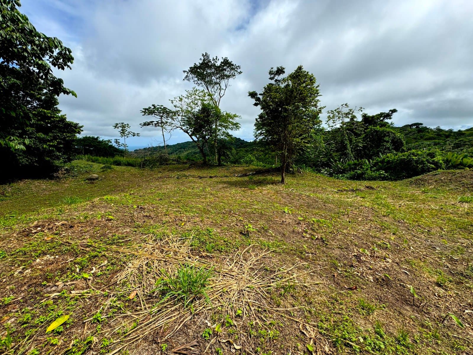 7.56 ACRES Ocean View Acreage In Lagunas, 50% Flat And Usable, Public Road, ASADA Water, Fruit Trees! photo 4