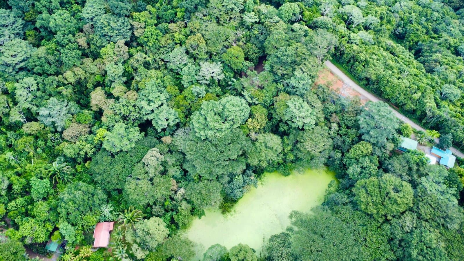 1.27 ACRES Beautiful Mountain View Property, Very Flat And Usable, Easy Access, Legal ASADA Water! photo 3