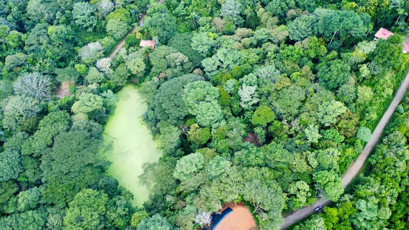 1.27 ACRES Beautiful Mountain View Property, Very Flat And Usable, Easy Access, Legal ASADA Water! photo 4