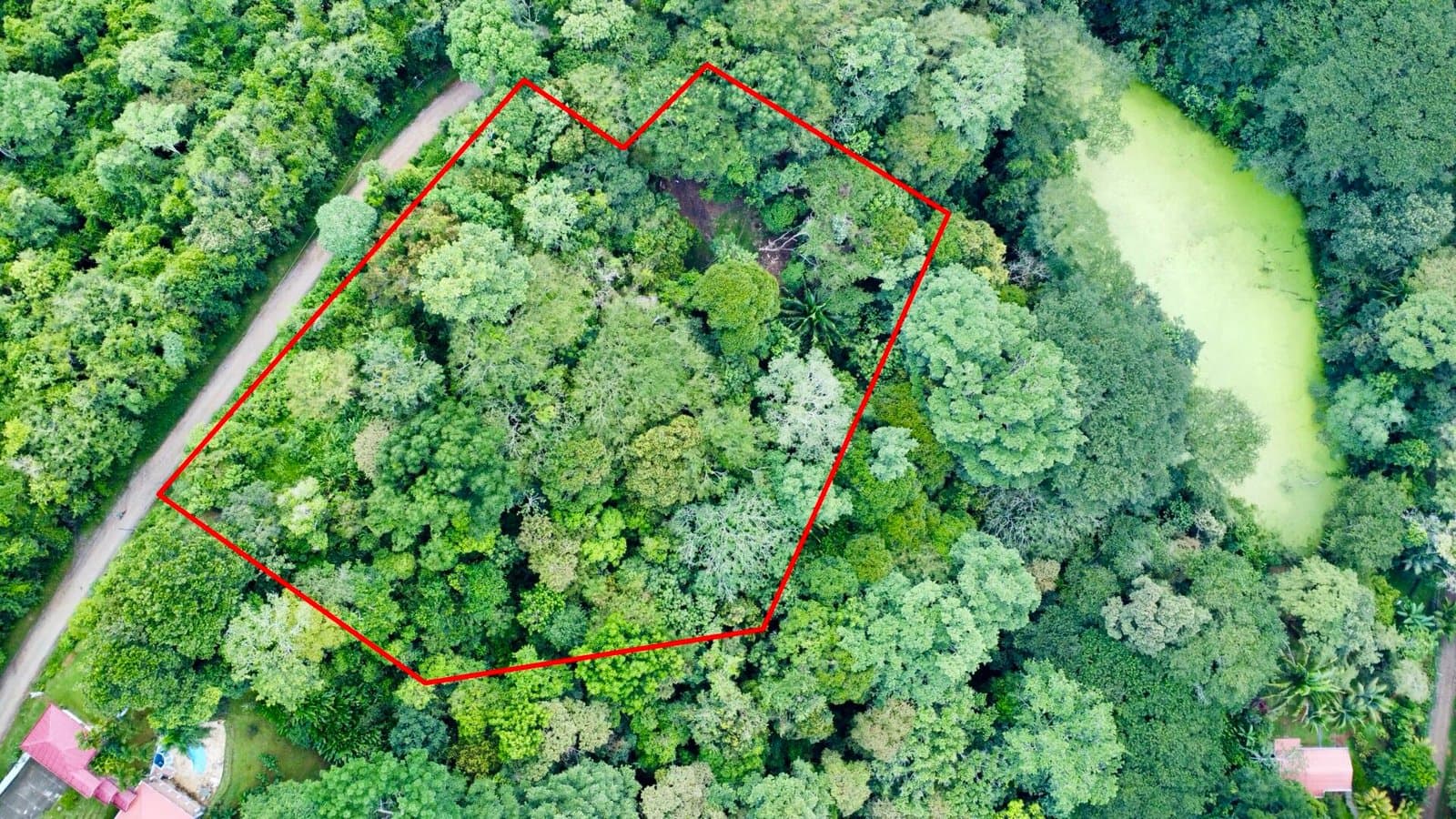 1.27 ACRES Beautiful Mountain View Property, Very Flat And Usable, Easy Access, Legal ASADA Water! photo 1