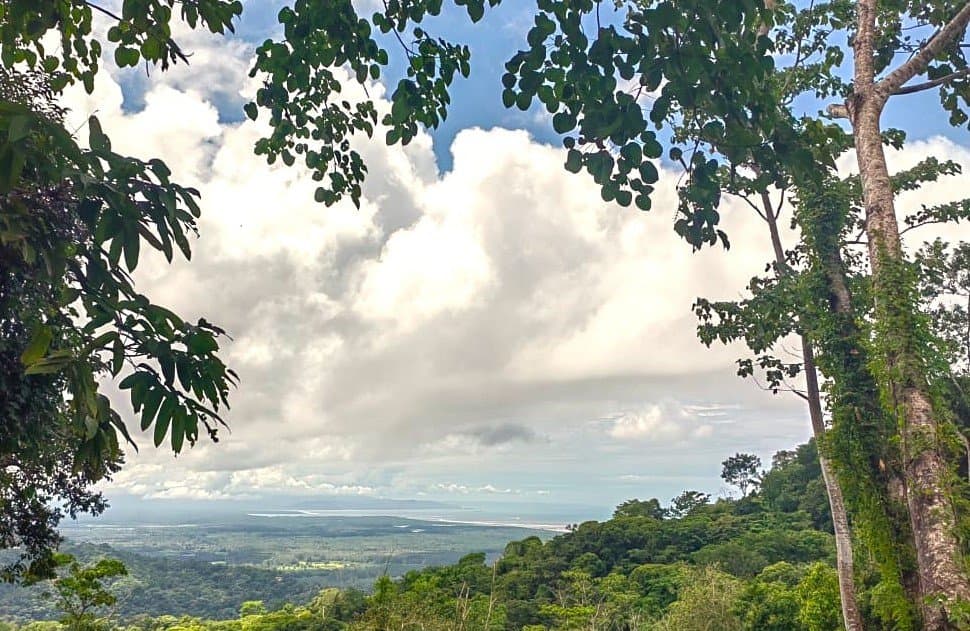 0.46 ACRES Ocean View Land Just 4 Minutes Away From El Pavon Waterfall, Legal Water And Electricity Available Ready To Build Site! property photo 2 in Costa Rica