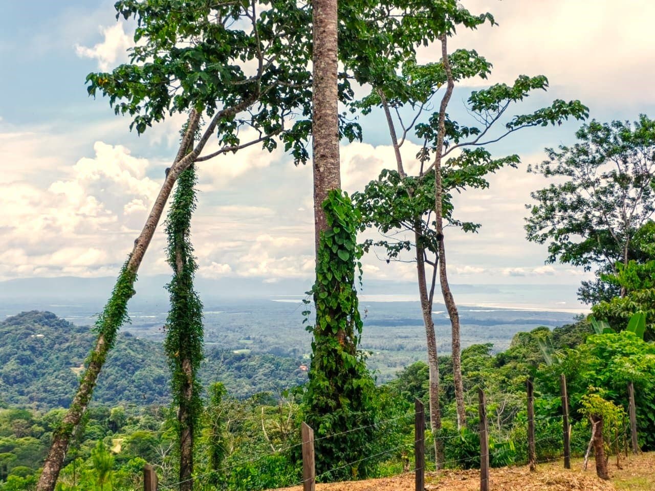 0.46 ACRES Ocean View Land Just 4 Minutes Away From El Pavon Waterfall, Legal Water And Electricity Available Ready To Build Site! photo 3