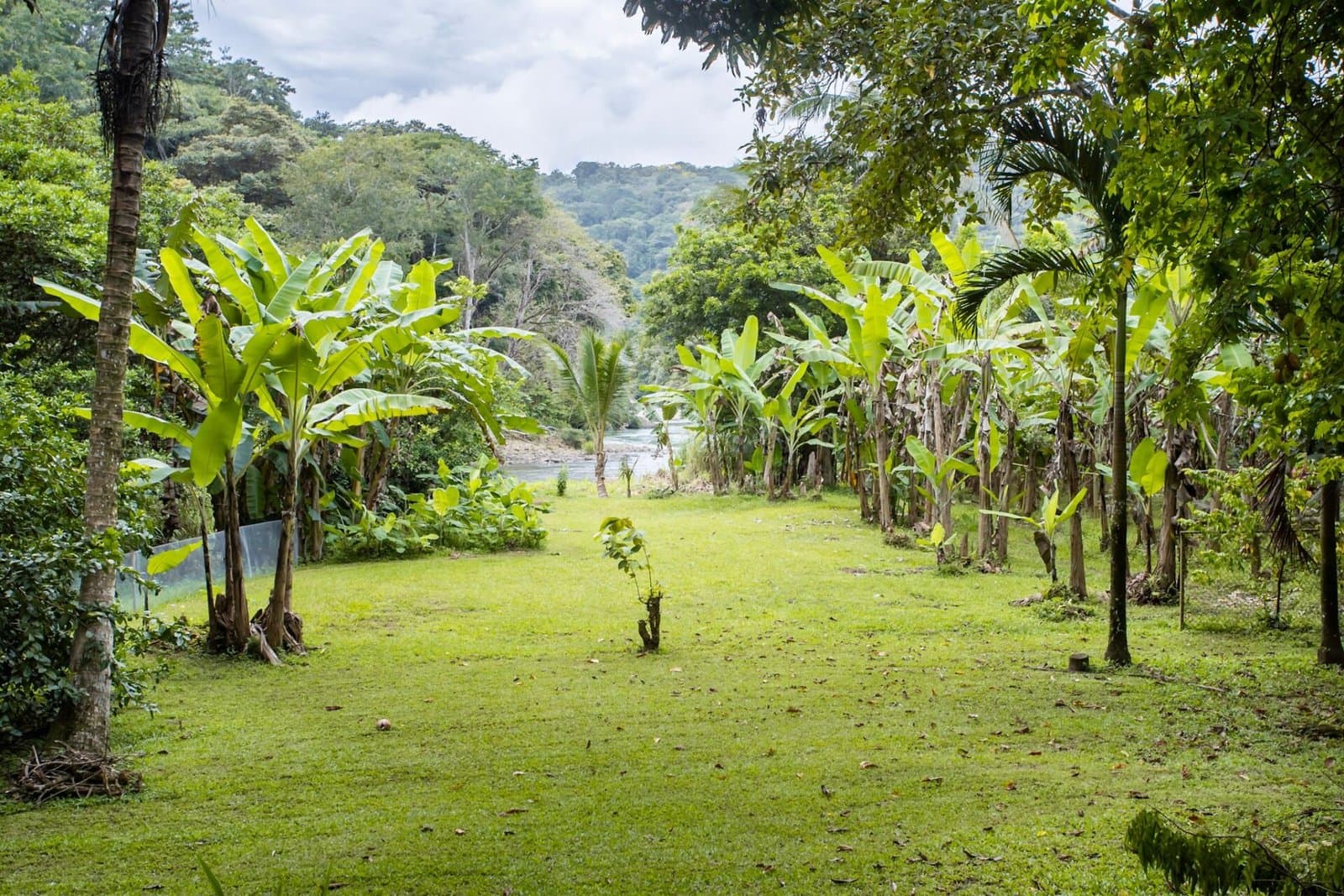0.81 ACRES Turn-Key Riverside Business 3 Bedroom Home Near Dominical! property photo 3 in Costa Rica