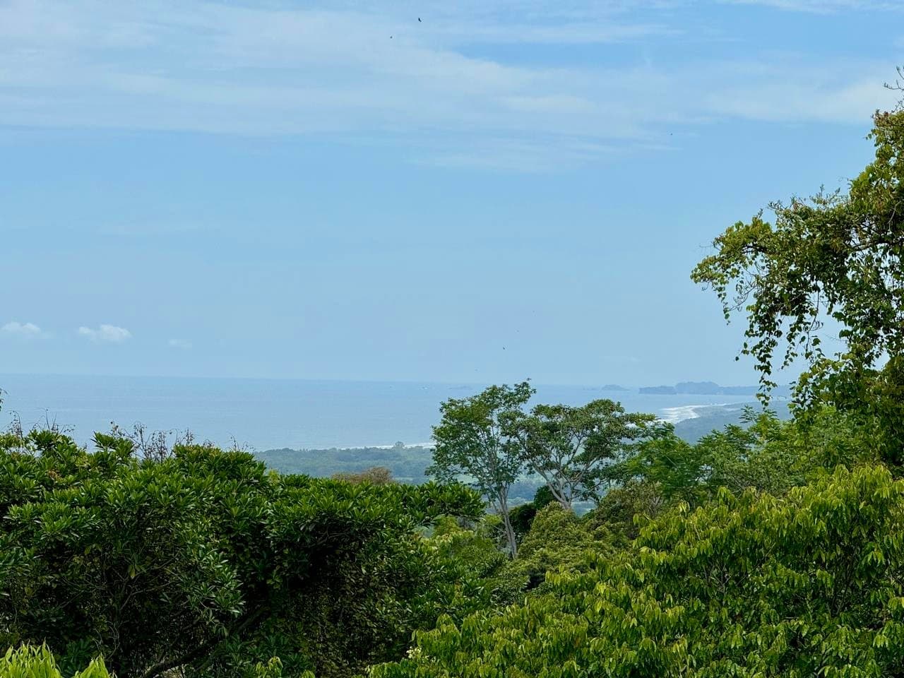 3.58 ACRES Amazing Ocean View Lot With Primary Forest, Creek, And Easy Access! photo 1