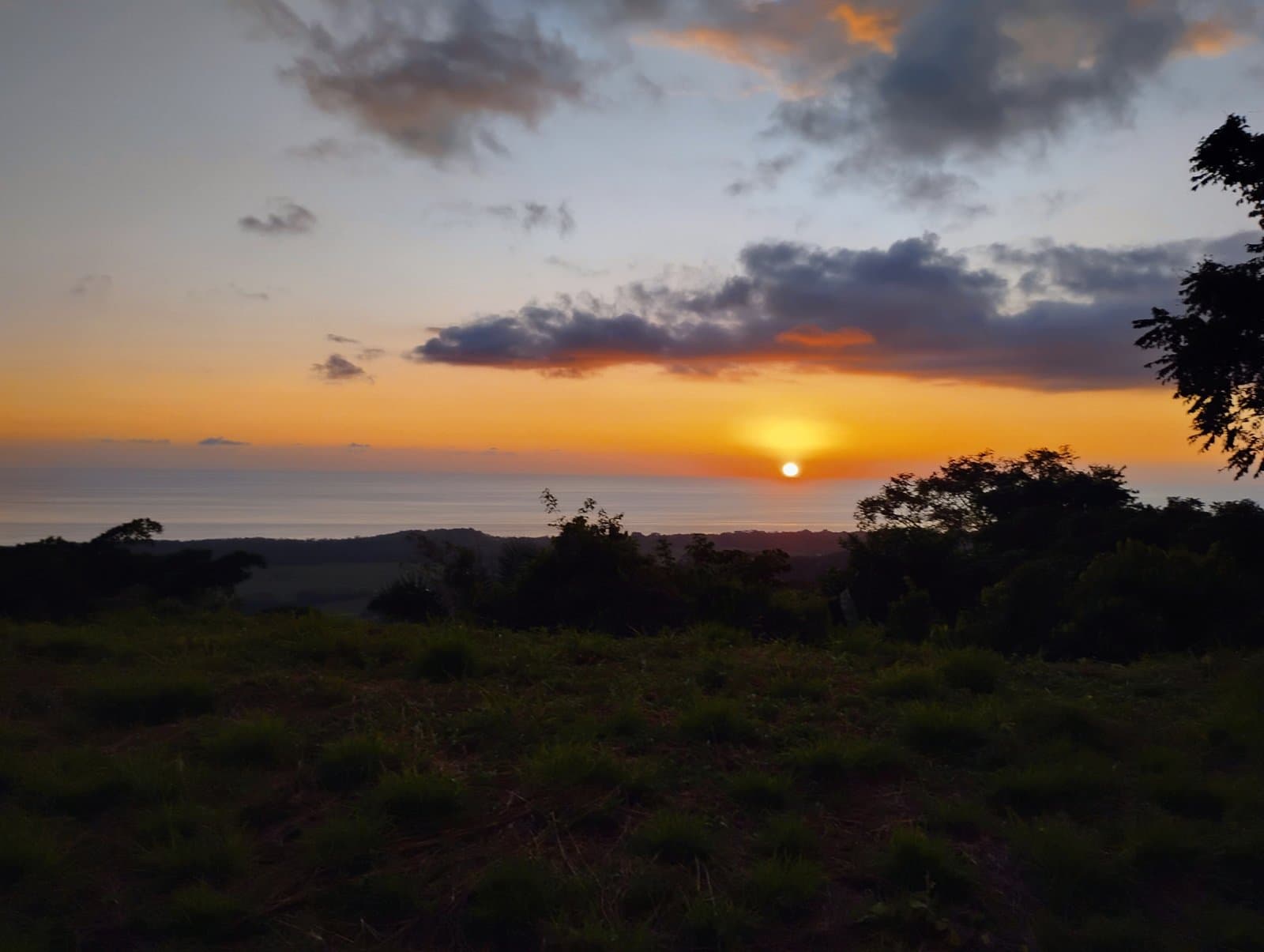 3.58 ACRES Amazing Ocean View Lot With Primary Forest, Creek, And Easy Access! photo 5