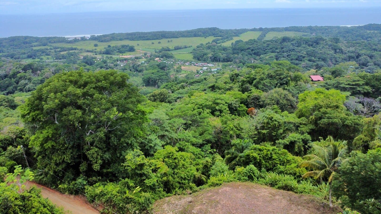 3.58 ACRES Amazing Ocean View Lot With Primary Forest, Creek, And Easy Access! photo 2