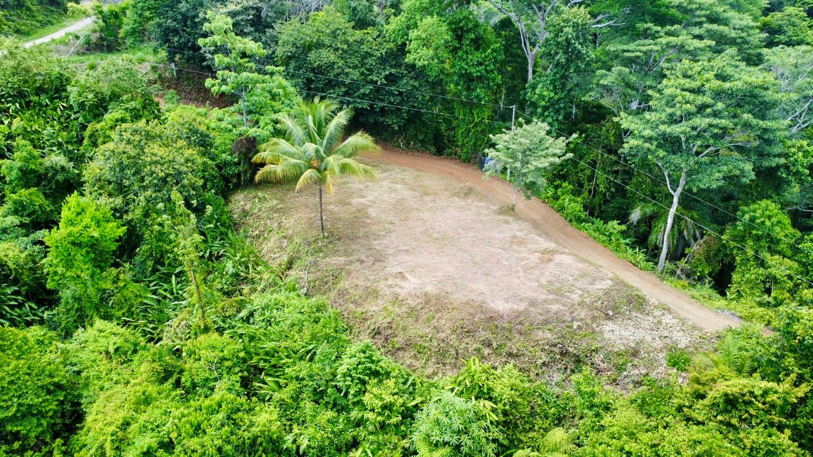 3.58 ACRES Amazing Ocean View Lot With Primary Forest, Creek, And Easy Access! photo 4