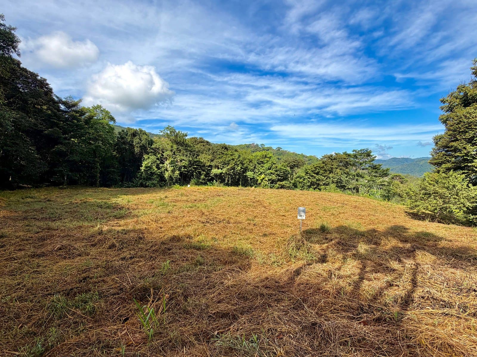 7 ACRES Mountain Views! Large Building Area, Walking Distance To The Largest Waterfall In The Area, Public Road, Private Setting, Ready To Build, 20Min to Dominical! property photo 5 in Costa Rica