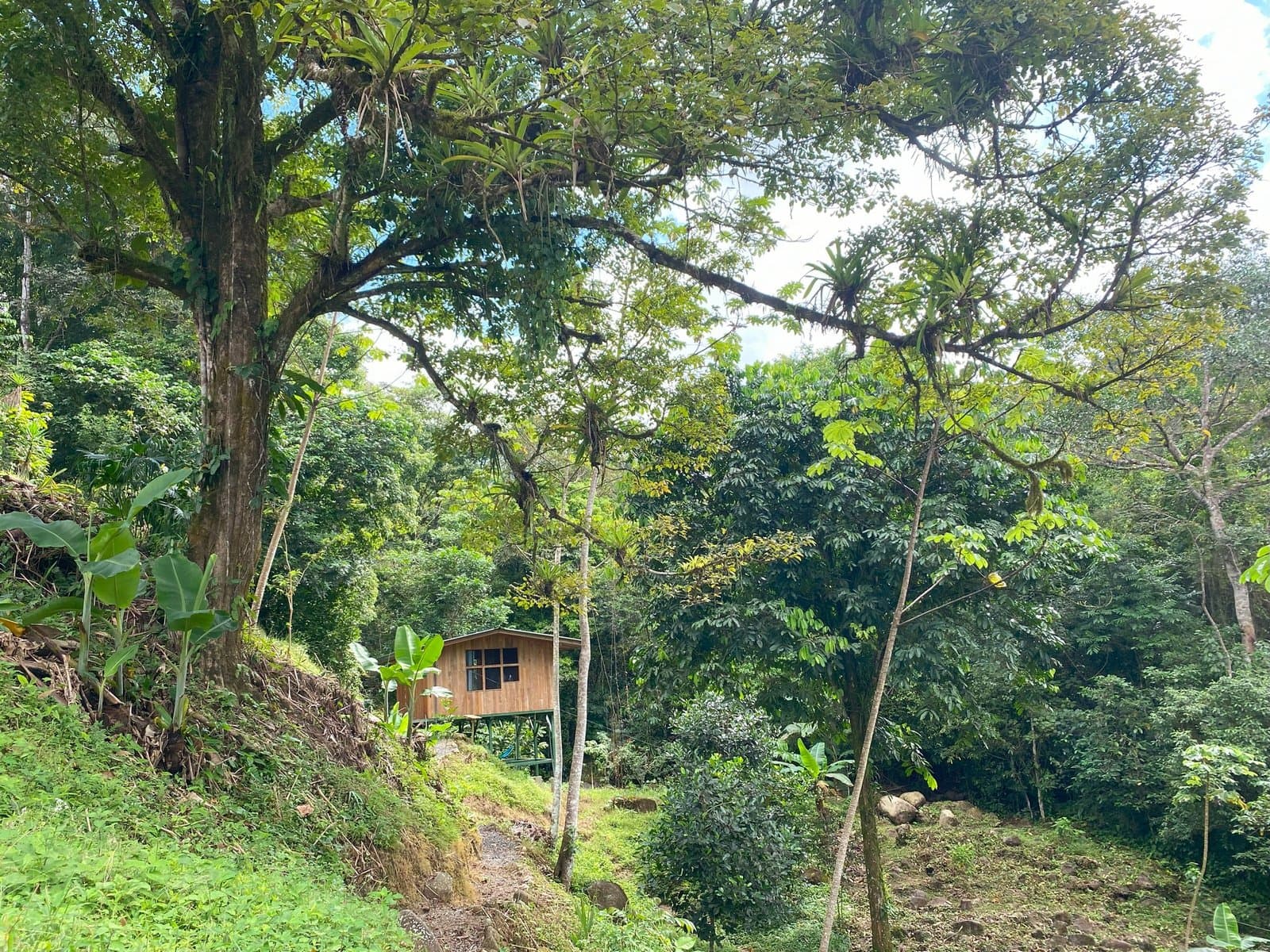 1.65 ACRES 3 Bedroom Tico Style House Plus 1-Bedroom Cabin by the River W Large Garden, Mountain Views And Room To Build More! photo 5