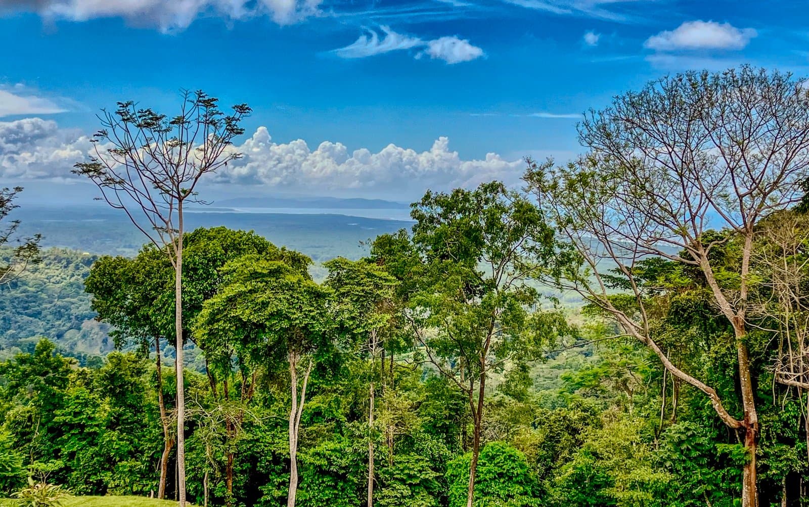 1.32 ACRES- Spectacular Ocean View In Tres Rios, Large Building Site, Legal Water And Electricity, Ready To Build & Close to Beaches!