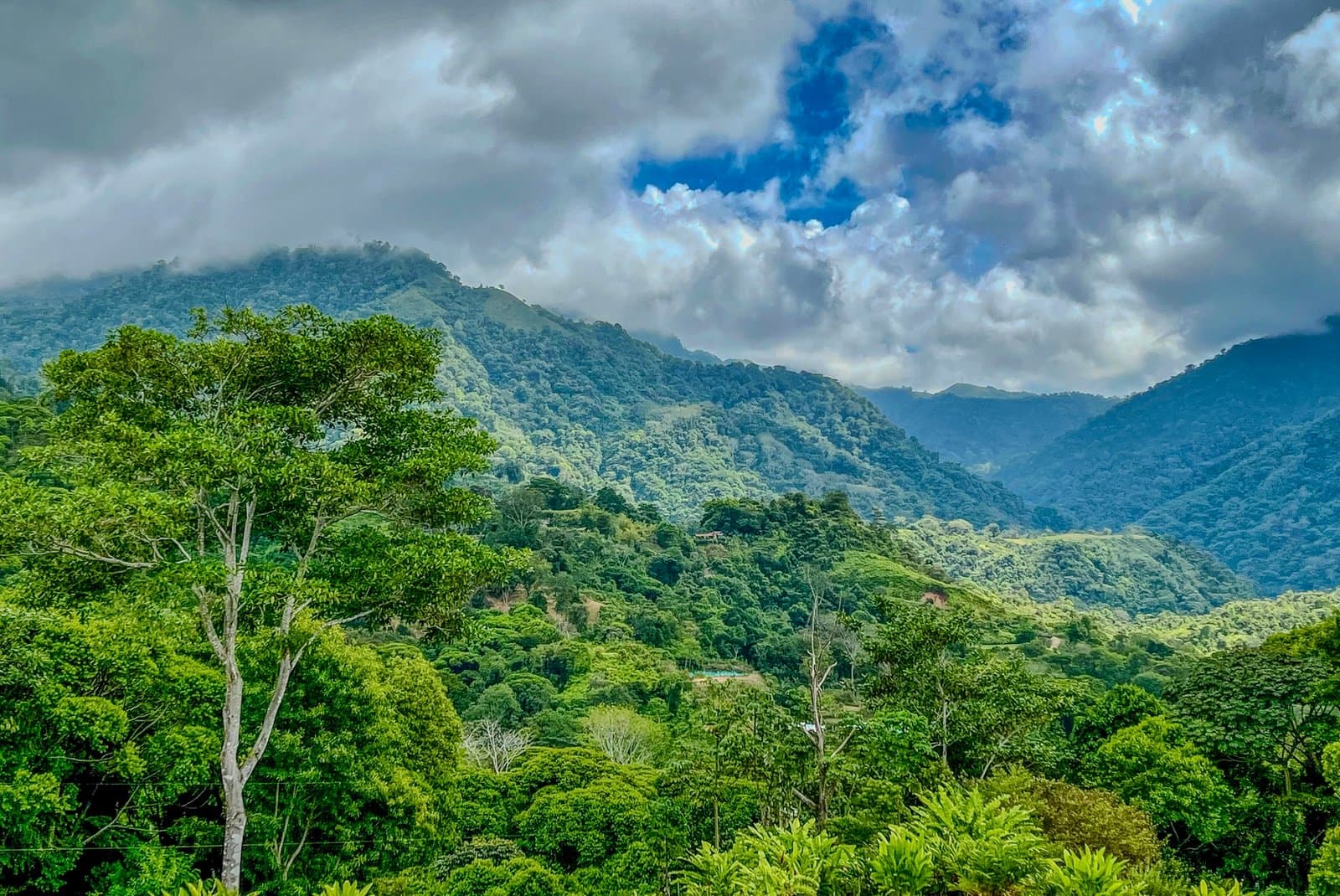 1.32 ACRES- Spectacular Ocean View In Tres Rios, Large Building Site, Legal Water And Electricity, Ready To Build & Close to Beaches! photo 4