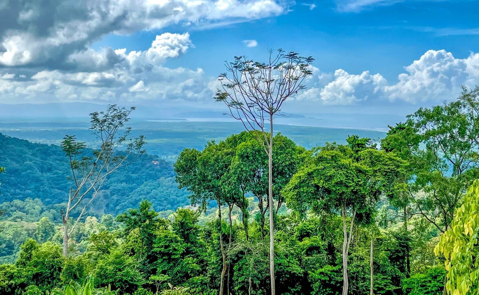 1.32 ACRES- Spectacular Ocean View In Tres Rios, Large Building Site, Legal Water And Electricity, Ready To Build & Close to Beaches! photo 5