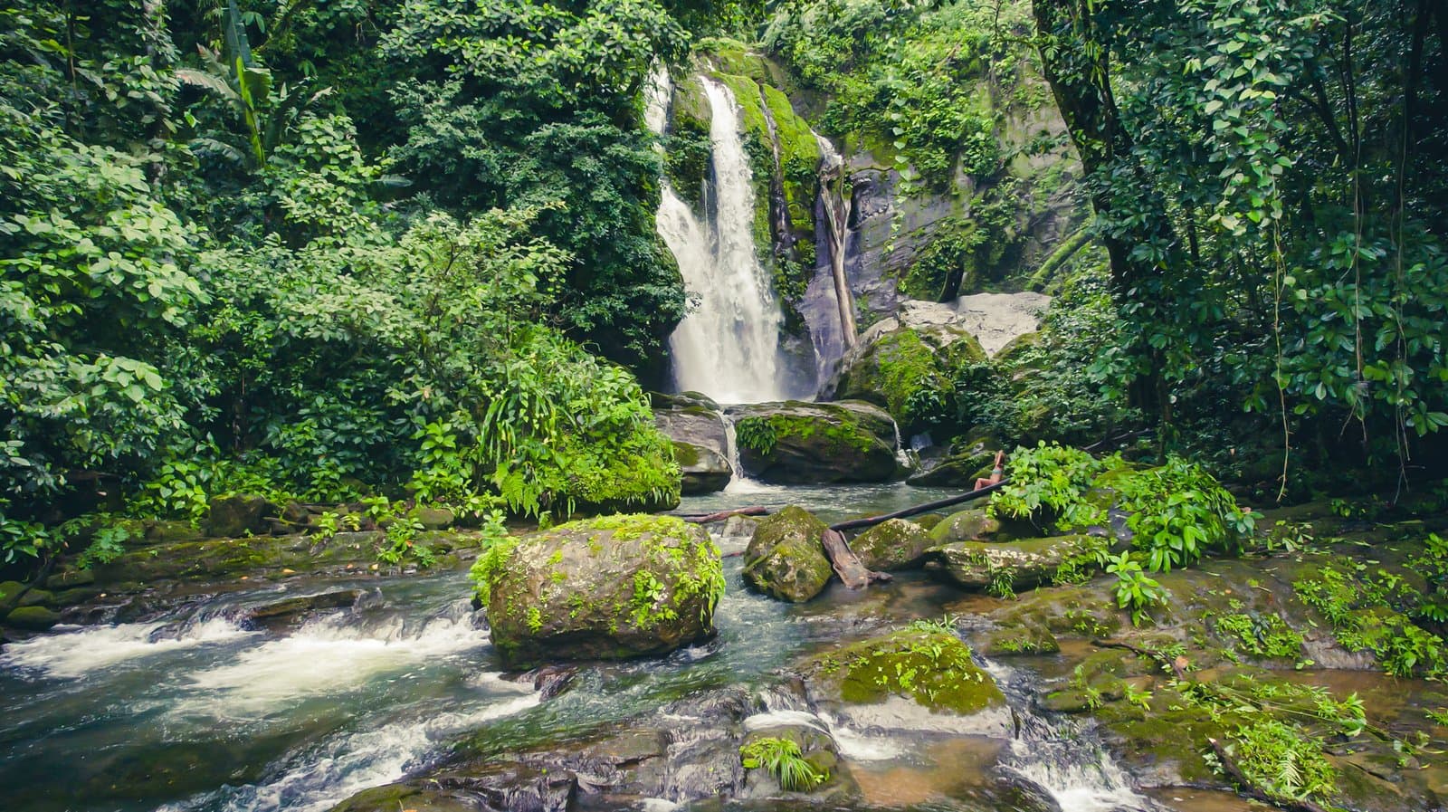 54 ACRES Luxury Nature Estate With Waterfalls, Rivers, Usable Land, Diamante Waterfall, Ocean And 360 Mountain Views! photo 5