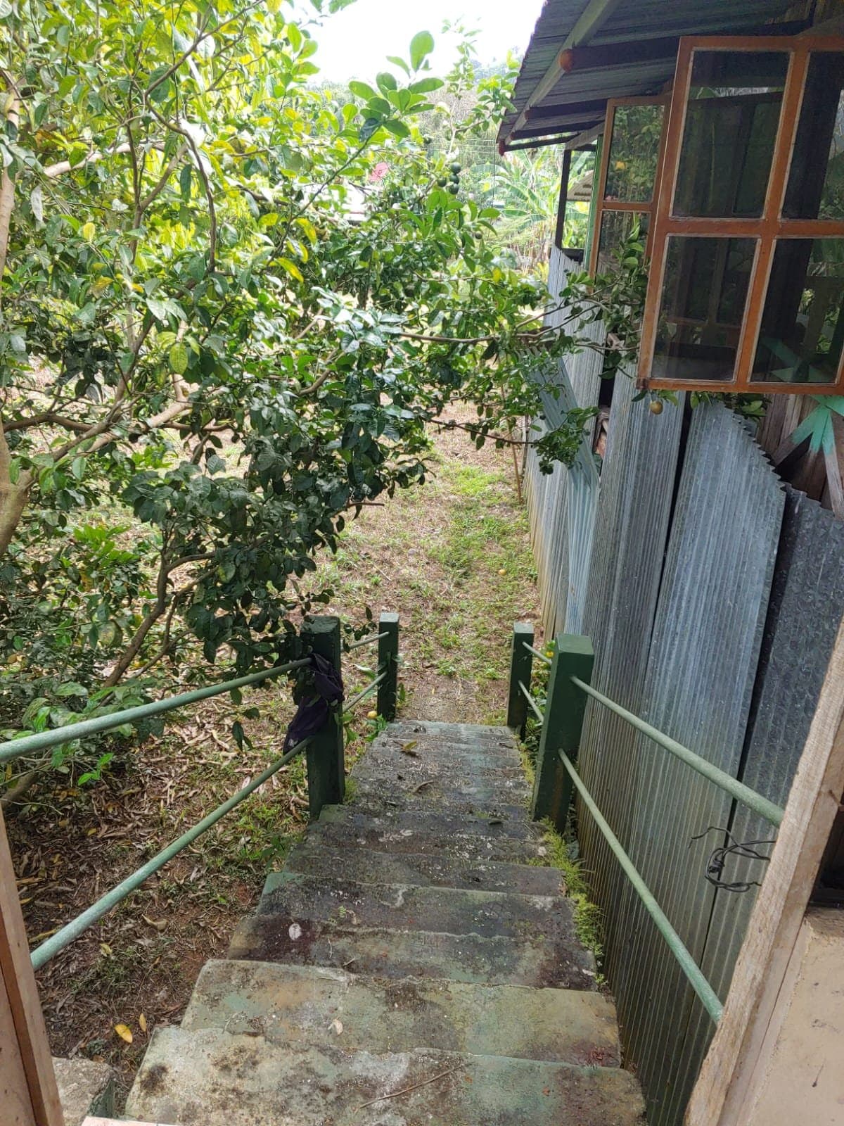 0.23 ACRES Buildable Property Near Waterfalls & Beaches with Legal Utilities And Easy Access! photo 5