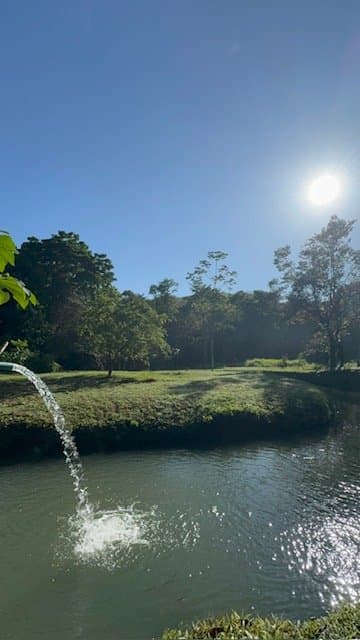 50 ACRES 5 Bedroom 3-Story Home With All Utilities In Place, 3 Ranches, Pool, Tilapia Pond, A Private River With Waterfalls & Swimming Holes And More! property photo 5 in Costa Rica