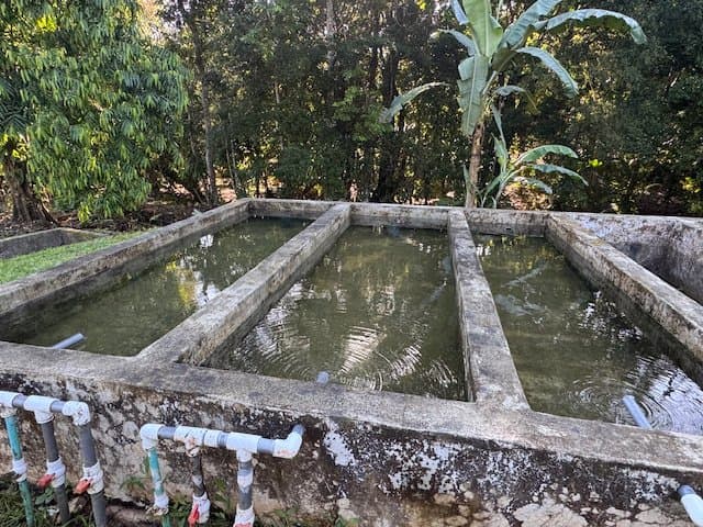 50 ACRES 5 Bedroom 3-Story Home With All Utilities In Place, 3 Ranches, Pool, Tilapia Pond, A Private River With Waterfalls & Swimming Holes And More! property photo 4 in Costa Rica