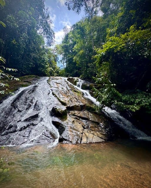 50 ACRES 5 Bedroom 3-Story Home With All Utilities In Place, 3 Ranches, Pool, Tilapia Pond, A Private River With Waterfalls & Swimming Holes And More!