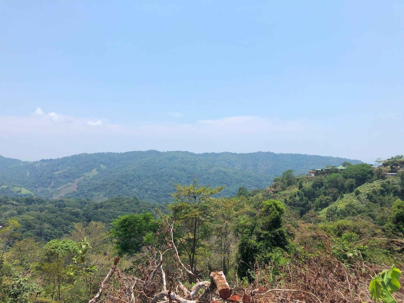2.4 ACRES Mountian and Valley View Land Surrounded by Jungle With Legal Water An Elecricity And Easy Access! photo 2