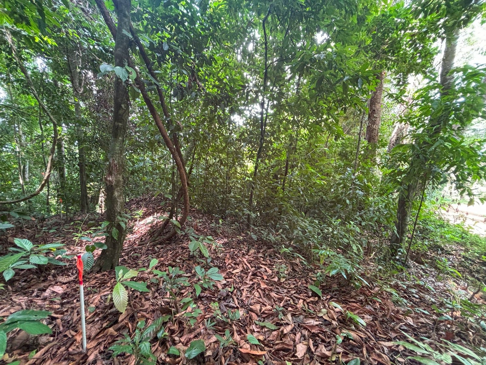 2.4 ACRES Mountain And Valley View Land With Plenty Of Space to Build And Easy Access! photo 1