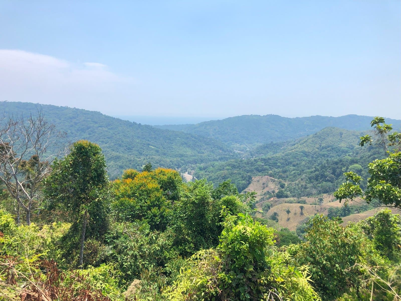 2.4 ACRES Mountian and Valley View Land Surrounded by Jungle With Legal Water An Elecricity And Easy Access!