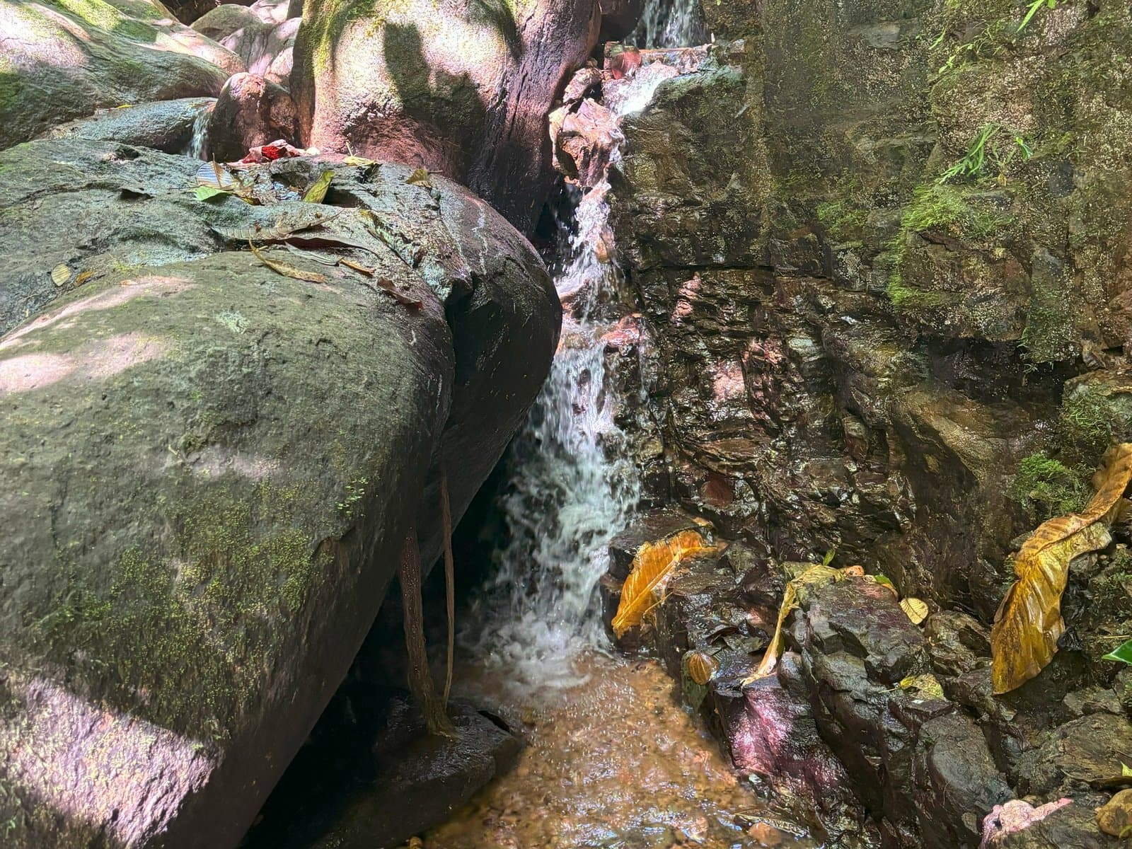 110.17 ACRES Mountain Estate With Ocean & Sunset View With Freshwater Streams And Natural Waterfalls! photo 4