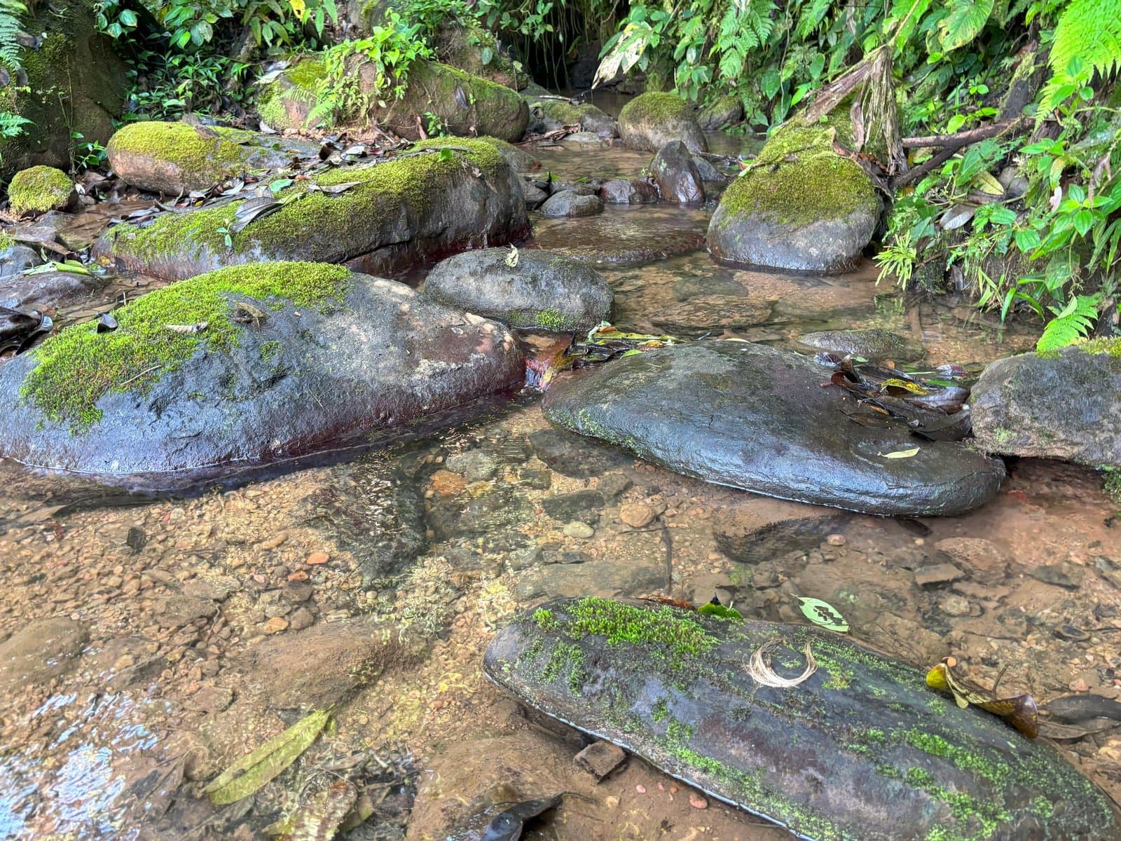 110.17 ACRES Mountain Estate With Ocean & Sunset View With Freshwater Streams And Natural Waterfalls! property photo 5 in Costa Rica