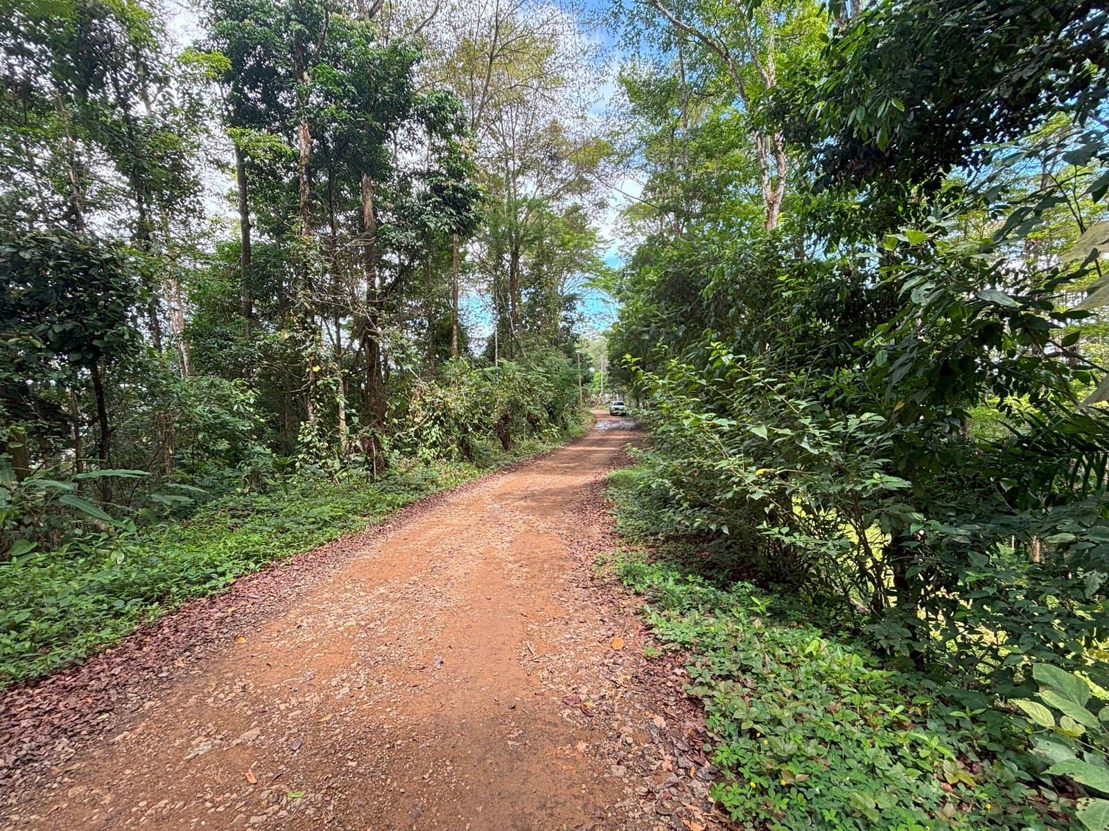 2.4 ACRES Mountain And Valley View Land With Plenty Of Space to Build And Easy Access! property photo 4 in Costa Rica