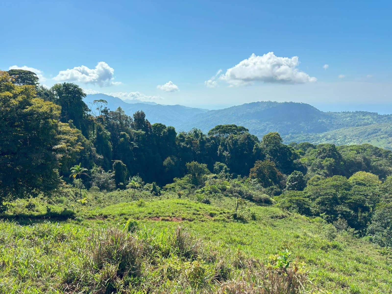 110.17 ACRES Mountain Estate With Ocean & Sunset View With Freshwater Streams And Natural Waterfalls! property photo 3 in Costa Rica