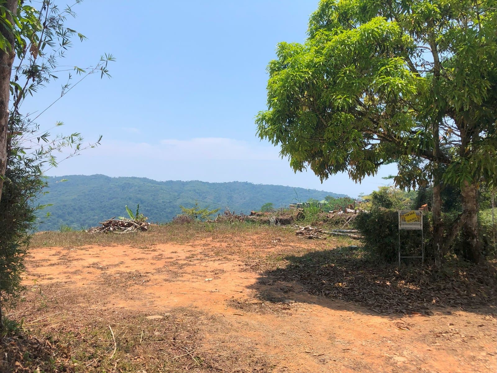 2.4 ACRES Mountian and Valley View Land Surrounded by Jungle With Legal Water An Elecricity And Easy Access! photo 5